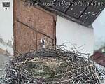 Capi_Dubne_20250413_194002.jpg
