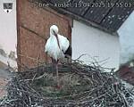 Capi_Dubne_20250413_195503.jpg