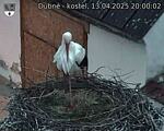 Capi_Dubne_20250413_200002.jpg