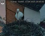 Capi_Dubne_20250413_200502.jpg