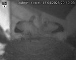 Capi_Dubne_20250413_204003.jpg