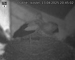 Capi_Dubne_20250413_204502.jpg