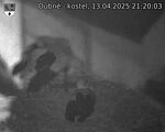 Capi_Dubne_20250413_212003.jpg