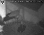 Capi_Dubne_20250413_212502.jpg