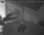 Capi_Dubne_20250413_213003.jpg