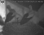 Capi_Dubne_20250413_214002.jpg