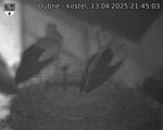 Capi_Dubne_20250413_214503.jpg