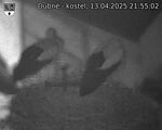 Capi_Dubne_20250413_215502.jpg