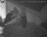 Capi_Dubne_20250413_220503.jpg