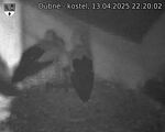 Capi_Dubne_20250413_222002.jpg