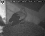 Capi_Dubne_20250413_224003.jpg