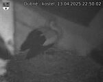 Capi_Dubne_20250413_225002.jpg
