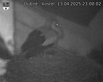 Capi_Dubne_20250413_230002.jpg