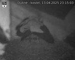 Capi_Dubne_20250413_231503.jpg