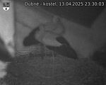 Capi_Dubne_20250413_233003.jpg