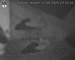Capi_Dubne_20250413_235502.jpg