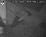 Capi_Dubne_20250414_003503.jpg