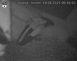Capi_Dubne_20250414_004002.jpg