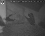 Capi_Dubne_20250414_010003.jpg