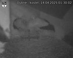Capi_Dubne_20250414_013002.jpg