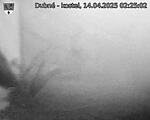 Capi_Dubne_20250414_022502.jpg