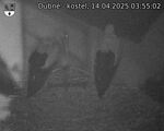 Capi_Dubne_20250414_035502.jpg