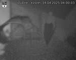 Capi_Dubne_20250414_040003.jpg