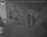 Capi_Dubne_20250414_040503.jpg
