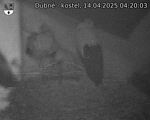 Capi_Dubne_20250414_042003.jpg