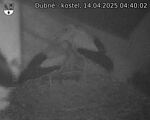 Capi_Dubne_20250414_044002.jpg