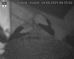 Capi_Dubne_20250414_045502.jpg