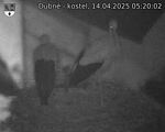 Capi_Dubne_20250414_052002.jpg
