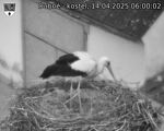 Capi_Dubne_20250414_060002.jpg