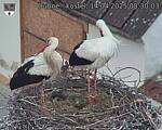 Capi_Dubne_20250414_083003.jpg