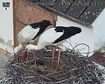 Capi_Dubne_20250414_085503.jpg