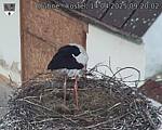 Capi_Dubne_20250414_092002.jpg
