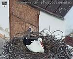 Capi_Dubne_20250414_094003.jpg