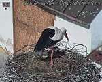 Capi_Dubne_20250414_095503.jpg
