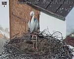 Capi_Dubne_20250414_100003.jpg