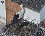 Capi_Dubne_20250414_103503.jpg
