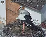 Capi_Dubne_20250414_112002.jpg