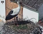 Capi_Dubne_20250414_121003.jpg