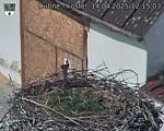 Capi_Dubne_20250414_121503.jpg