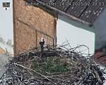 Capi_Dubne_20250414_123003.jpg