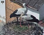Capi_Dubne_20250414_130502.jpg