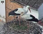 Capi_Dubne_20250414_131002.jpg