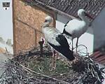 Capi_Dubne_20250414_133502.jpg