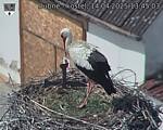 Capi_Dubne_20250414_134503.jpg