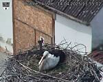 Capi_Dubne_20250414_135502.jpg