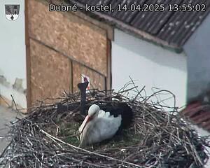Capi_Dubne_20250414_135502.jpg (1350 x 1080)